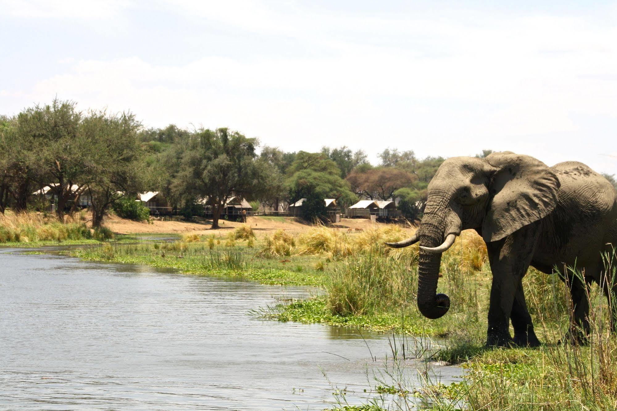 Anabezi Camp Hotel Jeki Ngoại thất bức ảnh